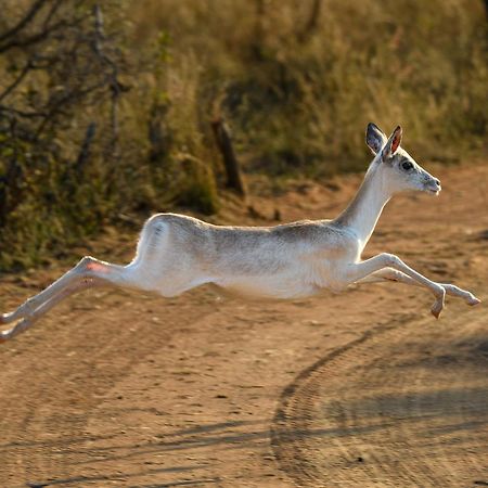 Vila Waterberg Game Park Mokopane Exteriér fotografie