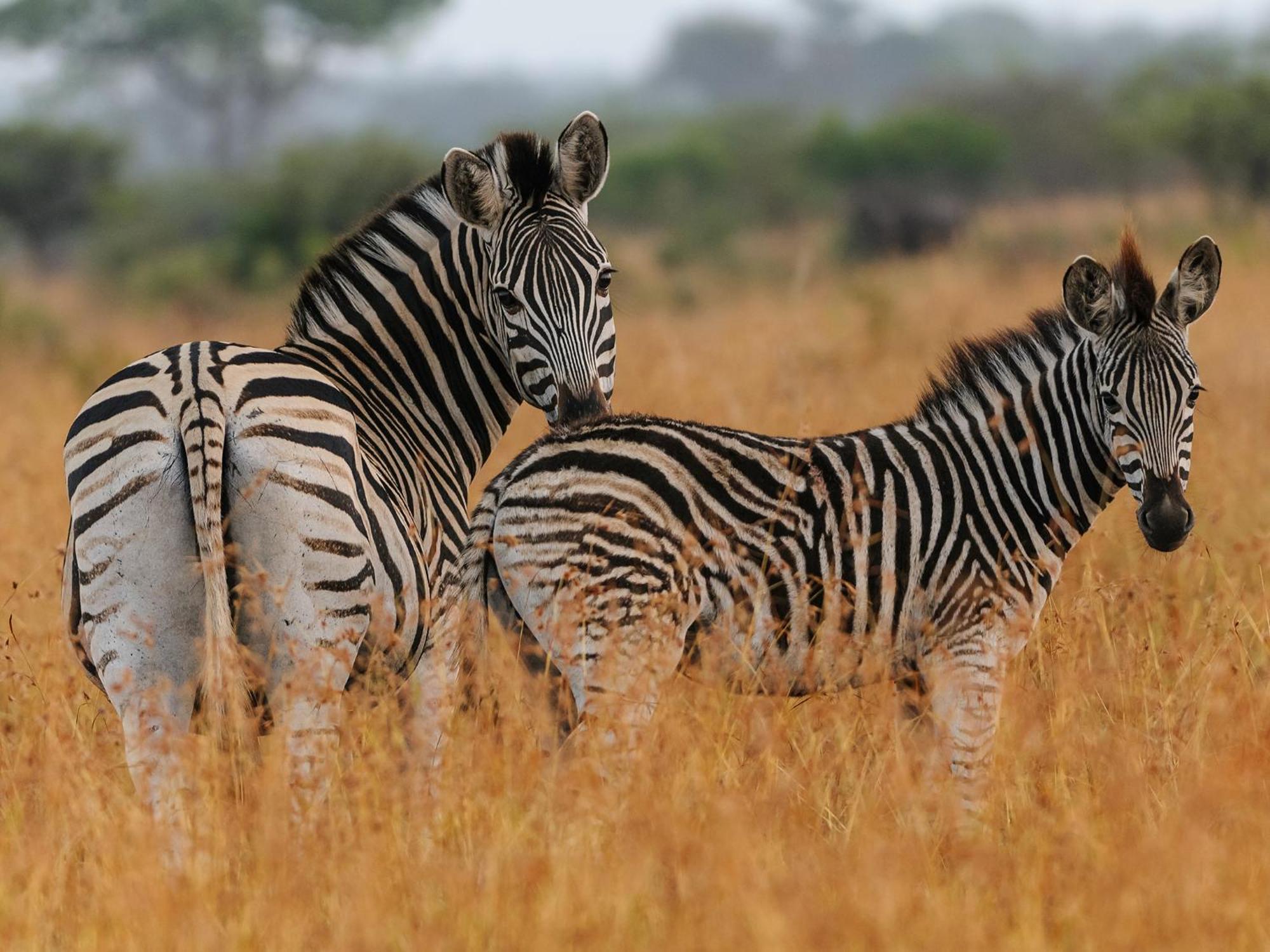 Vila Waterberg Game Park Mokopane Exteriér fotografie