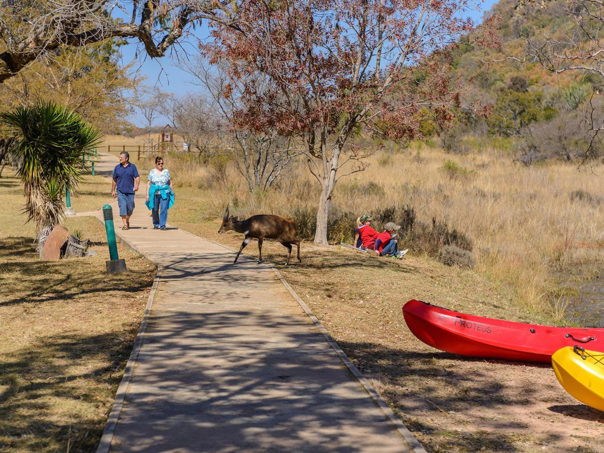 Vila Waterberg Game Park Mokopane Exteriér fotografie
